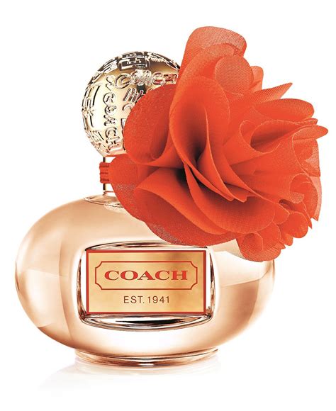 coach perfume sale macy's.